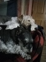 IMG_20251106_185035.jpg