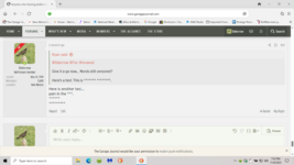Screenshot (333).png Screenshot (333).png