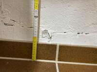 IMG_8425.jpeg IMG_8425.jpeg