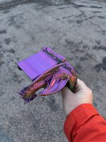 IMG_1883.jpeg