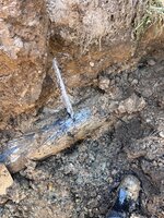 IMG_4989.jpeg