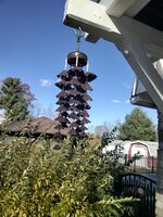 IMG_20251108_133304.jpg