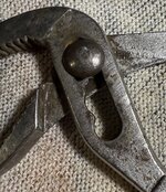 IMG_3307.jpeg