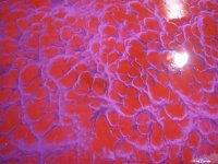 Metallix-Grapevine-Fire-Basecoat-With-Flo-Red-Effect-1-Lg.jpg