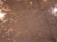 Metallix-Quarter-Throwing-Copper-With-Quarter-Throwing-Copper-Effect-Lg.jpg