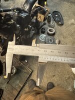 IMG_4886.JPEG