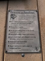 IMG_9945.jpeg IMG_9945.jpeg