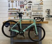 Bianchi.JPG