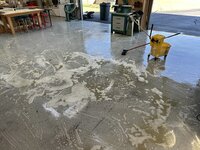54919548247_e53132ca70_b.jpg 54919548247_e53132ca70_b.jpg