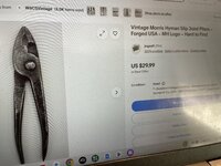 IMG_9849.jpeg
