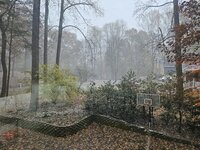 20251110_145617.jpg
