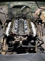 IMG_1189.jpeg