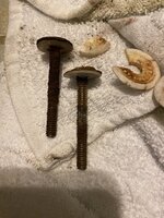 IMG_0327.jpeg