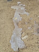 20251116_141122.jpg