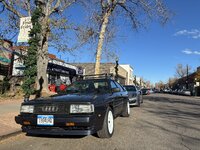 IMG_9124 copy.jpg