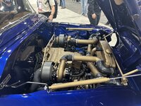 IMG_0494.jpeg IMG_0494.jpeg