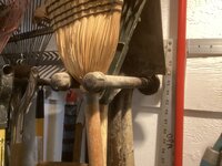 IMG_1587.jpeg