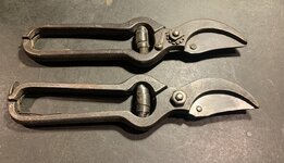 IMG_9825.jpeg