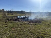 IMG_1684.jpeg IMG_1684.jpeg