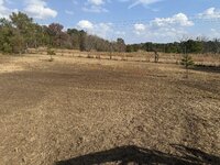 IMG_1784.jpeg IMG_1784.jpeg