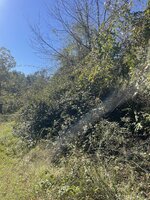 IMG_8128.jpeg
