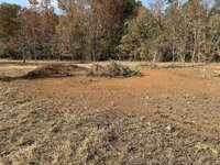 IMG_1785.jpeg