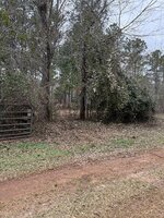 IMG_0331.jpeg