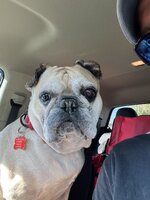 IMG_0202.jpeg