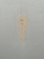 IMG_0338.jpeg IMG_0338.jpeg