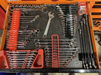 IMG_3137.jpeg