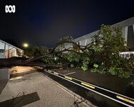 Tropical Cyclone Fina Photo No. 1.jpg