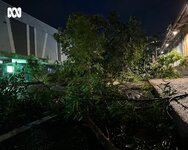 Tropical Cyclone Fina Photo No. 6.jpg