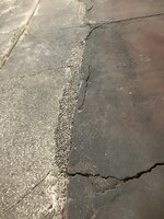 IMG_3975.jpeg IMG_3975.jpeg