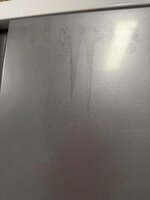 IMG_6859.jpeg