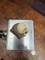 IMG_4275.jpeg