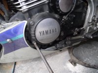 YamPhil3L.JPG