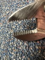 IMG_3553.jpeg