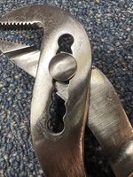 IMG_3556.jpeg