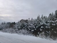 0a44c13d-2c2e-4b5e-81d1-4574df249591.jpeg