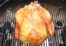 Thanksgiving-turkey-e-3-45a.jpg