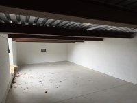 IMG_0917.jpeg