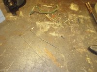 IMG_20251127_093742134.jpg
