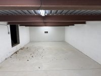 IMG_0929.jpeg