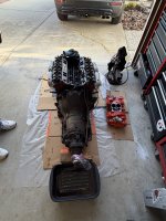 IMG_1264.jpeg