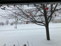 IMG_8309.jpeg