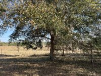 IMG_1836.jpeg