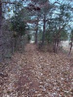 IMG_1861.jpeg