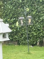 IMG_1707.jpeg