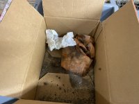IMG_8680.jpeg