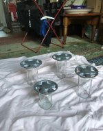 IMG_8753.jpeg
